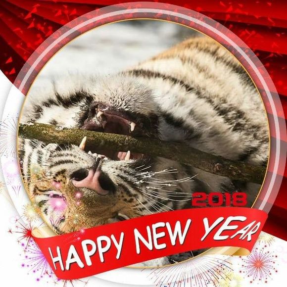 Meet your Posher, Katya - Picture 1 of 1